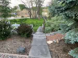 A beautiful Path to Lake with greenery